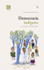 Cubierta para Democracia indígena en contextos multiculturales