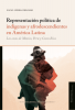 Cubierta para Representación política de indígenas y afrodescendientes en América Latina. Los casos de México, Perú y Costa Rica